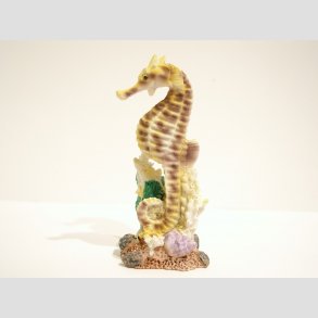 Shest - Med Sgrs - 9cm