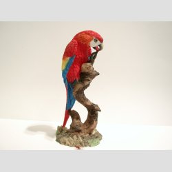 Papegje p Gren - Stor - 21cm