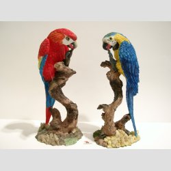 Papegje p Gren - Stor - 21cm