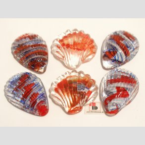 Glas Strandskaller - 4,5-5,5cm - 1 Unika St Med 6 Asst.