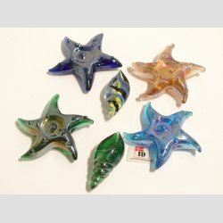 Glas Strandskaller - 4-5,5cm - 1 Unika St Med 6 Asst.