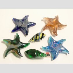 Glas Strandskaller - 4-5,5cm - 1 Unika St Med 6 Asst.