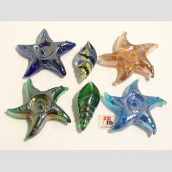 Glas Strandskaller - 4-5,5cm - 1 Unika St Med 6 Asst.