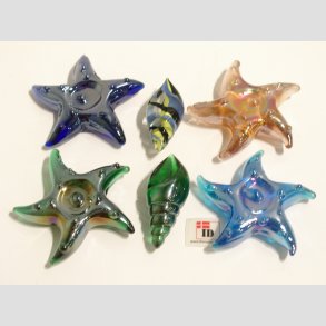 Glas Strandskaller - 4-5,5cm - 1 Unika St Med 6 Asst.