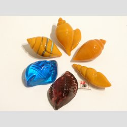 Glas Strandskaller - 5-5,5cm - 1 Unika St Med 6 Asst.