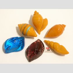 Glas Strandskaller - 5-5,5cm - 1 Unika St Med 6 Asst.