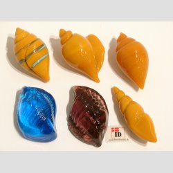 Glas Strandskaller - 5-5,5cm - 1 Unika St Med 6 Asst.