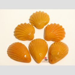 Glas Strandskaller - 4,5-5,5cm - 1 Unika St Med 6 Asst.