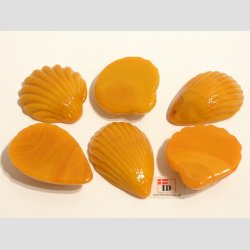 Glas Strandskaller - 4,5-5,5cm - 1 Unika St Med 6 Asst.