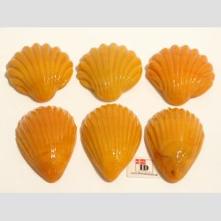 Glas Strandskaller - 4,5-5,5cm - 1 Unika St Med 6 Asst.