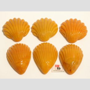 Glas Strandskaller - 4,5-5,5cm - 1 Unika St Med 6 Asst.