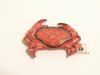 ID Magnet1