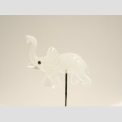 Nipsenle Til Salg - 6-8cm