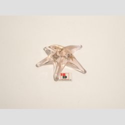 Glaskunst Maritim Figur - Glas Sstjerne - Lyserd