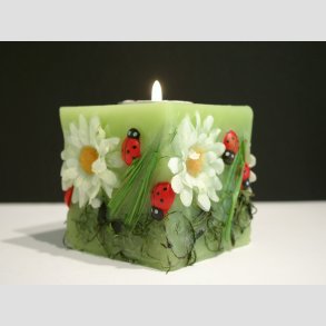 Stearinlys - Firkantet Med Grn Forr - 7x7cm