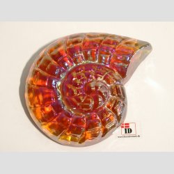 Strandskaller - Glas Strandskaller -  Skindende 8 Farver - 10cm