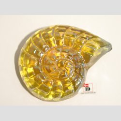 Strandskaller - Glas Strandskaller -  Skindende 8 Farver - 10cm