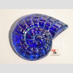 Strandskaller - Glas Strandskaller -  Skindende 8 Farver - 10cm