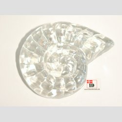 Strandskaller - Glas Strandskaller -  Skindende 8 Farver - 10cm