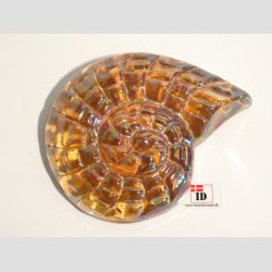 Strandskaller - Glas Strandskaller -  Skindende 8 Farver - 10cm