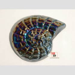 Strandskaller - Glas Strandskaller -  Skindende 8 Farver - 10cm