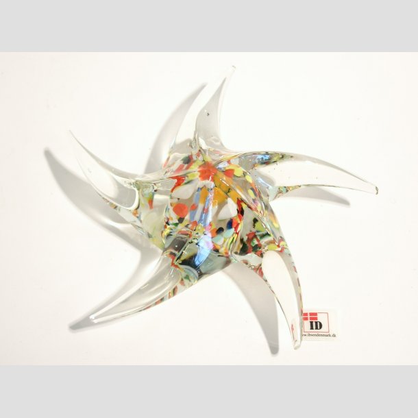 Glas Seesterne - Klare/Flecken - 12cm