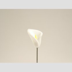 Nipsenle til Salg - 6-8cm