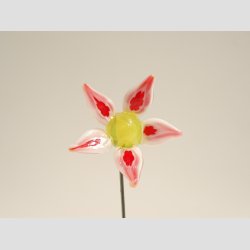 Nipsenle til Salg - 6-8cm