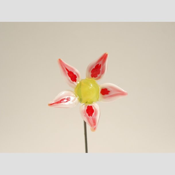 Nipsenle til Salg - 6-8cm ID 106