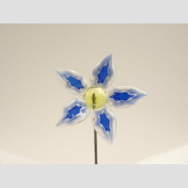 Nipsenle til Salg - 6-8cm ID 107
