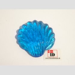 Strandskaller - Glas Strandskald - 4-5cm