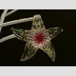 Glaskunst - Glas Smykke Vedhng - Sstjerne - 6,5cm