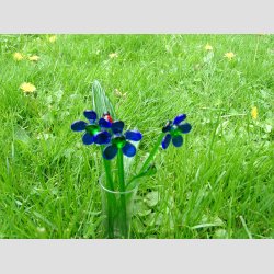 Glasblomster - Mrkebl - 16-17cm - 1 St Med 3 Stk