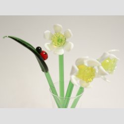 Pinselilje - Hvid Gul Glas Pinselilje p Grn Stilk - 16-17cm - 1 St Med 3 Stk