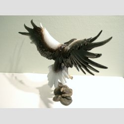 Flyvende Stellers Havrn - Lakeret - Hjde 40cm, Vingefang 48cm