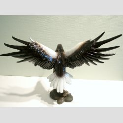 Flyvende Stellers Havrn - Lakeret - Hjde 40cm, Vingefang 48cm