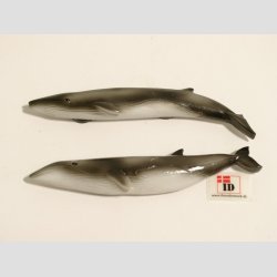 Dyrefigur Hval - Polystone Magneter - 10cm