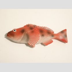 Dyrefigur Fisk Magnet - Polystone Magneter - 10cm