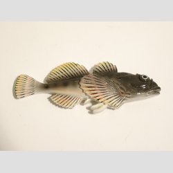 Dyrefigur Fisk Magnet - Polystone Magneter - 10cm