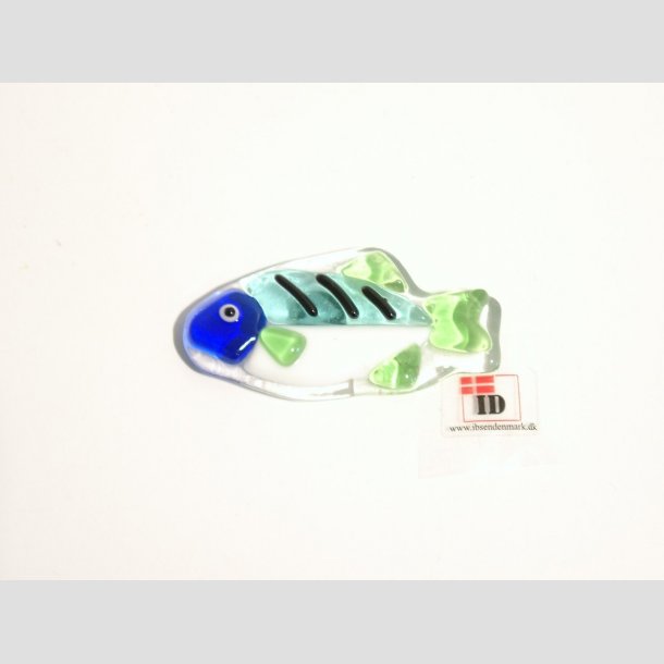 Glas Magnet - Fisk - 5,50cm ID Magnet2