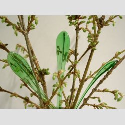 Grnne Glas Blade - 14cm