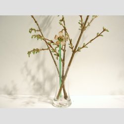 Glasblomster - Lysebrun - 16-17cm - 1 St Med 3 Stk