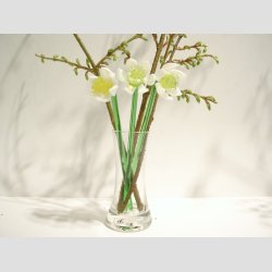 Pinselilje - Hvid Gul Glas Pinselilje p Grn Stilk - 16-17cm - 1 St Med 3 Stk