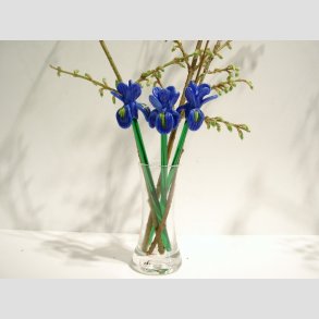 Blomster - Bl/Gule Iris Glas Blomster p grn stilk - 16-17cm - 1 St Med 3 Stk