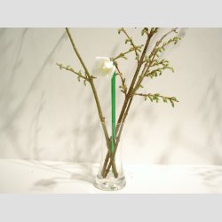 Blomster - Hvid Vintergk Glas Blomst p Stilk - 16-17cm - 1 St Med 3 Stk