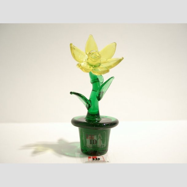 Pskeliljer - Glas Blomst I Potte - Gul Pskelilje - 8cm Gul