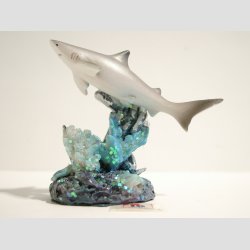 Haj P Koral Sten - 7,50cm