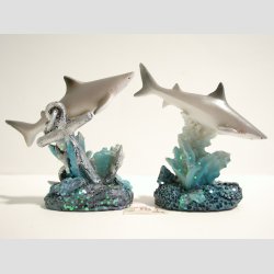 Haj P Koral Sten - 7,50cm