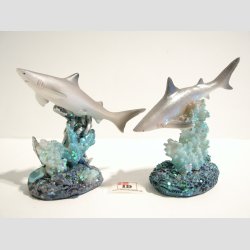 Haj P Koral Sten - 7,50cm