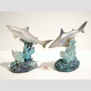 Haj P Koral Sten - 7,50cm